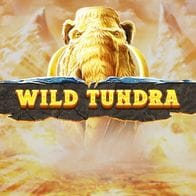 Wild Tundra game icon